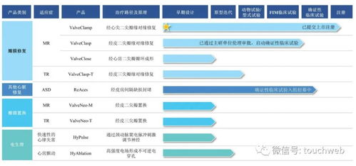 捍宇醫(yī)療IPO折戟 17億募資夢碎，CPE、云鋒基金股東背后，網(wǎng)絡(luò)營銷策劃如何影響醫(yī)療科技企業(yè)價(jià)值？